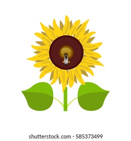 Sunflower with bee. Vector illustration isolated on white background