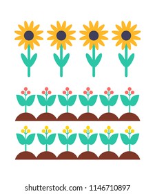 Sunflower and berry bush on garden bed vector set. Field of plants, farming and healthy food, concept for organic products, agricultural emblems.