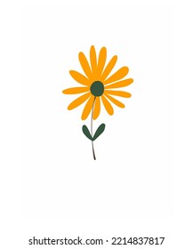 sunflower is the best sun