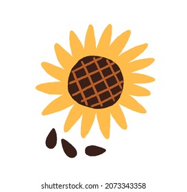 Sunflower and black seeds. Top view of sun flower with raw kernels. Summer plant with yellow petals drawn in doodle style. Flat vector illustration isolated on white background.