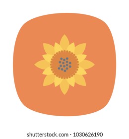 sunflower bloom park