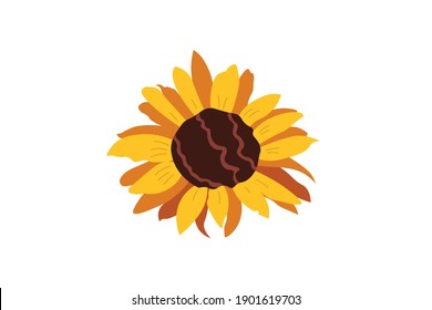 Vektorgrafik von Sonnenblumen-Blütenblättern
