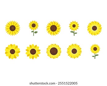 Sunflower Blooming Design Element Set 