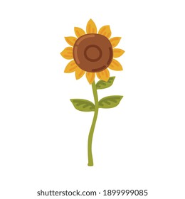 Sunflower, Blooming Flower, Cultivated Crop Cartoon Style Vector Illustration
