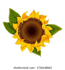 Sunflower blossom. Hand drawn sunflower with green leaves. Flat color vector icon for flower apps and websites