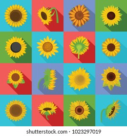 Sunflower blossom icons set. Flat illustration of 16 sunflower blossom vector icons for web