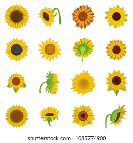 Sunflower blossom icons set. Flat illustration of 16 sunflower blossom vector icons isolated on white