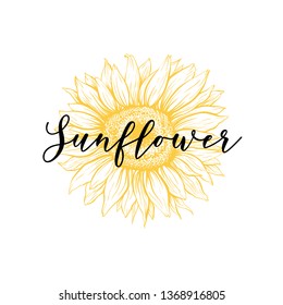 Sunflower blossom sketch vector illustration. Blooming flower with calligraphic lettering. Helianthus yellow outline drawing. Floral, botanical isolated clipart. Agriculture logotype design idea