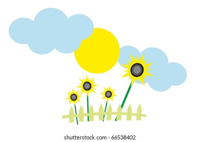 sunflower and blue sky