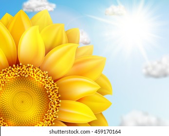 Sunflower with blue sky - autumn. EPS 10 vector file included