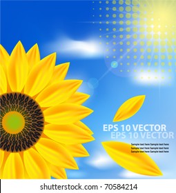 Sunflower with blue sky and sunburst
