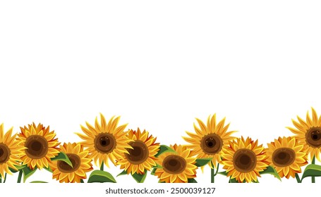 Sunflower border or sun flower arrangement background. Helianthus backdrop or summer floral panoramic scene. Decorative foliage card or blossom decor sign. Organic and natural, greenery theme