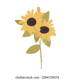 Sunflower bouquet. Fresh florist arranged yellow sunflowers bouquet. Vector illustration in cartoon style. Isolated on white background.