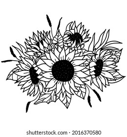 Sunflower bouquet. Isolated Vector illustration. Sunflower composition. Floral arrangement. Hand drawn sunflowers. 