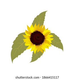 Hojas de girasol y marrón, ilustración vectorial