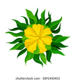 Sunflower Bud with Green Leaves and Yellow Petals Vector Illustration