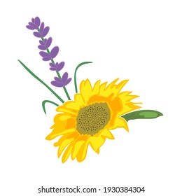 Sonnenblumenknospen und Lavendelsprig. Frühlings- und Sommerblütenanordnung. Handgezeichneter Vektor. Gelbe, grüne, lila Farben. Festlicher Strauß, romantisch. Schöne Natur. Zum Beispiel Print, Internet.