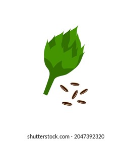 Sunflower bud with seeds vector illustration isolated on white background