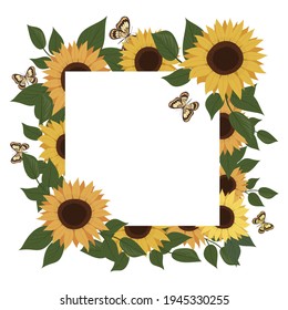Sunflower and butterflies frame. Sunflower flower and leaves. Botanical element. Vector isolated pattern for design