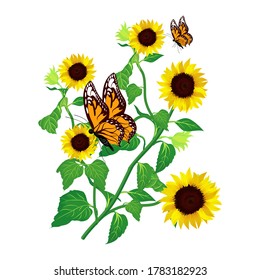 24,739 Sunflower butterfly Images, Stock Photos & Vectors | Shutterstock