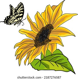 Sunflower and butterfly vector element