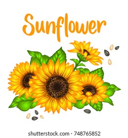 Sunflower. Sunflower card design. Vector illustration