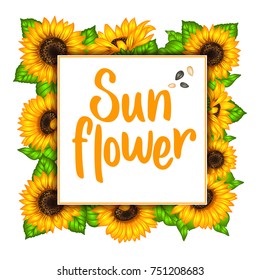 Sunflower. Sunflower card design. Vector illustration