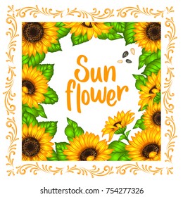 Sunflower. Sunflower card design. Vector illustration
