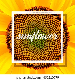 sunflower card with white frame. 