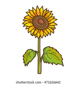 Sunflower cartoon floral drawing. Vector illustration. Isolated on white.
