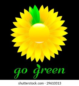 Sunflower with changing color petals, vector. Jpeg also available in my port.
