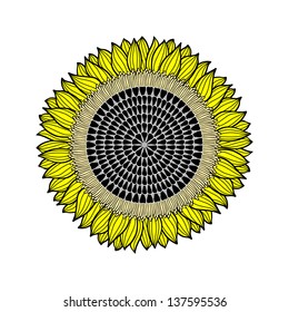 sunflower collection, flower isolated