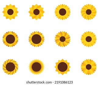 Sunflower collection set vector on white isolated background