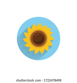 sunflower colorful flat icon with long shadow. sunflower flat icon