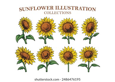 diseño de conjunto de ilustración colorida de girasol. girasoles amarillos dibujados a mano para boutique, negocio de floristería. diseño minimalista femenino de girasol floral para logotipo, arte en la pared, póster, estampados