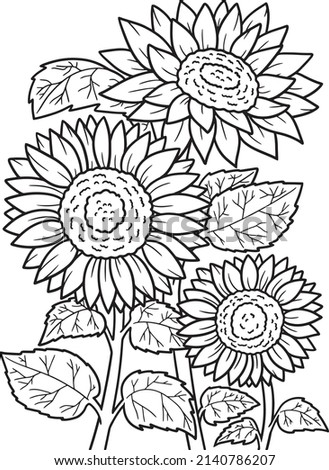 Sunflower Coloring Page for Adults