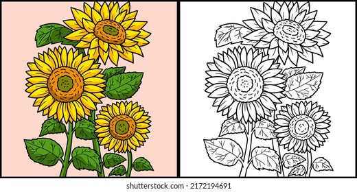 Sunflower Coloring Page Colored Illustration