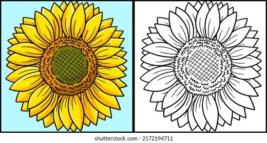 Sunflower Coloring Page Colored Illustration