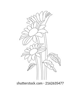 sunflower coloring page monochrome drawing illustration vector