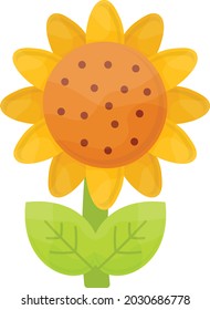 Sunflower Concept, Helianthus Vector Icon Design, Autumn or Fall activities Symbol, Dry weather Sign, Temperate climates Elements Stock illustration