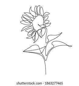 Sunflower in continuous line art drawing style  Black linear sketch isolated white background  Vector illustration