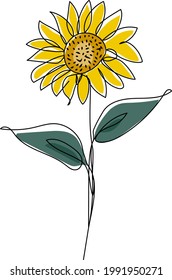 Sunflower in continuous one line drawing and coloring. Modern minimalist art. Vector illustration.