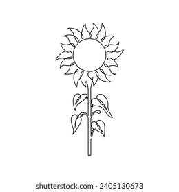 Sunflower in a continuous one line style hand drawn outline of flower isolated on white background.Sunflower one continuous line art out line minimal