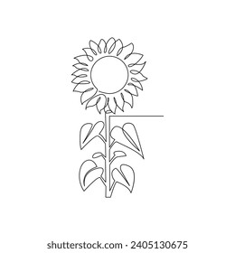 Sunflower in a continuous one line style hand drawn outline of flower isolated on white background.Sunflower one continuous line art out line minimal