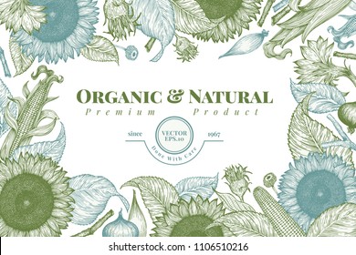 Sunflower and corn frame template. Sunflower banner design. Vector hand drawn illustration. Can be use for organic and natural products, restaurants and cafe.