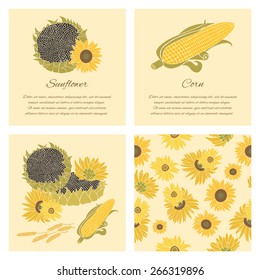 Sunflower, corn and grain greeting card set. Yellow vector flowers on the bright and dark background collection