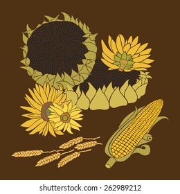 Sunflower and Corn greeting card. Yellow and green flower on the dark background