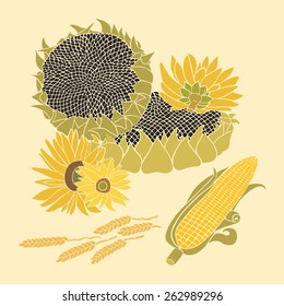 Sunflower and Corn greeting card. Yellow and green flower on the bright background