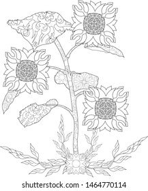 Sunflower covered with abstract ornament with large flowers and leaves. Zenart. Anti stress coloring.
