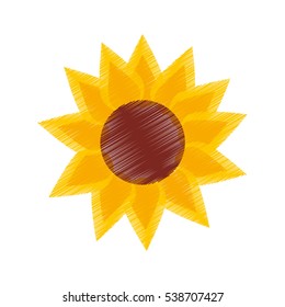 sunflower cute isolated icon vector illustration design